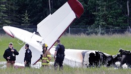 Lại xảy ra tai nạn máy bay ở Mỹ