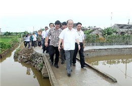 Chủ tịch Quốc hội thăm và làm việc tại Ninh Bình