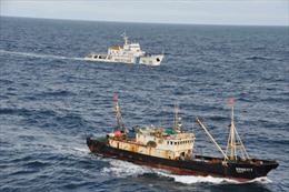 Argentina phạt tiền tàu Trung Quốc đánh cá trái phép