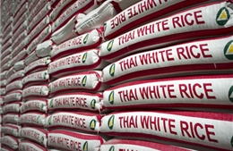 Thái Lan bác tin gạo thành phẩm bị nhiễm độc 