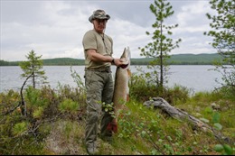 Putin trổ tài câu cá chó 21kg