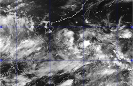 Tin áp thấp nhiệt đới trên biển Đông 