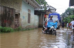 Sông Hồng dâng nước ngập lụt Yên Bái 