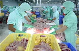 Xuất khẩu lạc quan vượt chỉ tiêu