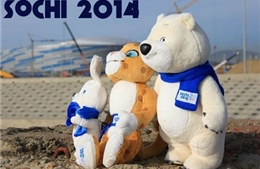 Thủ tướng Nga kiểm tra công tác chuẩn bị Olympic 2014