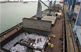 Panama phát hiện thêm chất nổ trên tàu Triều Tiên 
