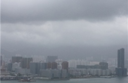 Nhiều hoạt động ở Hong Kong ngừng trệ vì bão Utor