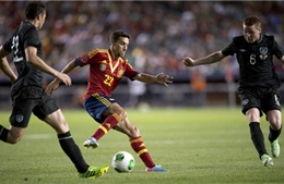 Những mảnh ghép hoàn hảo cho Premier League 