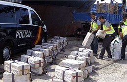 Nam Mỹ triệt phá tội phạm tuồn ma túy vào Tây Ban Nha