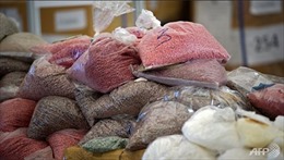 Thái Lan tịch thu hàng triệu viên methamphetamine 