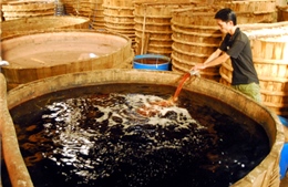 Để nước mắm Phú Quốc làm “đại sứ nông sản” 
