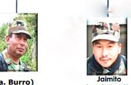 Colombia: Hai thủ lĩnh của FARC thiệt mạng 