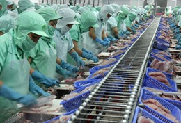Phản đối mức thuế chống bán phá giá với cá tra Việt Nam