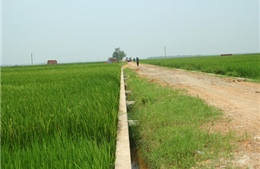 Hà Nội giảm nghèo bền vững nhờ chuyển dịch cơ cấu