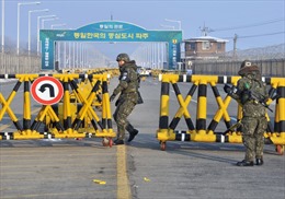 Hai miền Triều Tiên mở lại KCN Kaesong tuần tới 
