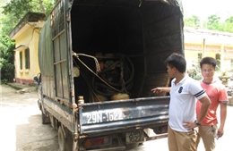 Dân lại chặn xe “lạ” vào Công ty Nicotex Thanh Thái