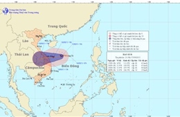 Bão số 8 di chuyển chủ yếu theo hướng Tây