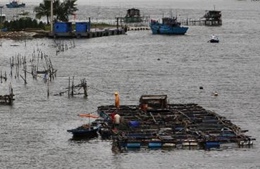 Tin bão trên Biển Đông (cơn bão số 9) 