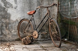 Lão nông mê xe đạp cổ 