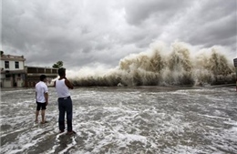 20 người Trung Quốc thiệt mạng vì siêu bão Usagi