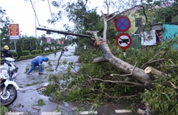 Nghệ An khẩn cấp di dân tránh bão cho 1.643 hộ 