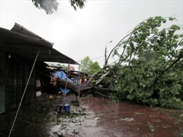 Bộ đội tích cực giúp dân khắc phục hậu quả bão