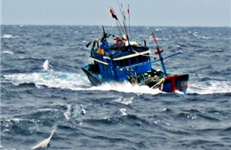 Khẩn trương cứu ngư dân trên tàu cá hỏng máy trôi dạt trên biển