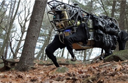 &#39;Mèo rừng&#39; - robot sát thủ mới của quân đội Mỹ