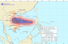 Bão số 11 hướng vào miền Trung