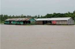 Tin lũ trên sông Cửu Long 