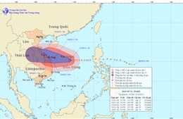 Ủy ban Quốc gia Tìm kiếm cứu nạn chỉ đạo ứng phó bão số 11