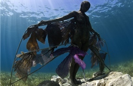 Lạ mắt những bức tượng người dưới biển