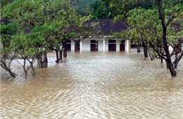 Xã Quảng Sơn tan hoang sau lốc xoáy, lũ lụt 
