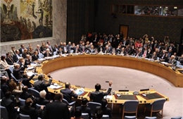 Các nước vùng Vịnh ủng hộ Saudi Arabia &#39;nói không&#39; với HĐBA