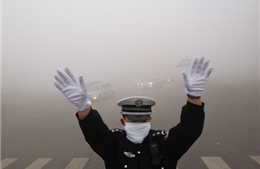 Cáp Nhĩ Tân &#39;nám phổi&#39; vì than
