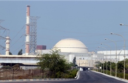 IAEA chưa thể xác nhận Iran ngừng làm giàu urani