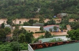 Tây Nguyên: Mất rừng khiến lũ quét nguy hiểm hơn