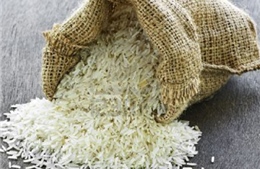 80% sản lượng gạo bị lãng phí