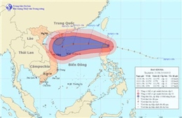 Tin mới cập nhật về bão Krosa