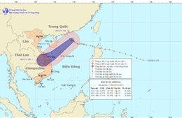 Bão số 12 sẽ suy yếu thành áp thấp