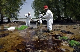Hơn 200 triệu người có nguy cơ nhiễm độc từ môi trường 