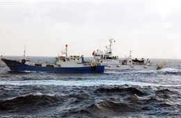Nhật Bản bắt một thuyền trưởng tàu Trung Quốc