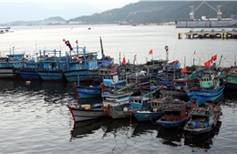 Sóc Trăng nghiêm cấm không cho tàu thuyền xuất bến đến khi có thông báo an toàn