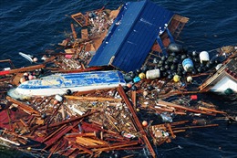 Đảo rác khổng lồ gấp ba diện tích nước Anh trôi dạt tới California