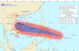 Chủ động đối phó siêu bão Haiyan