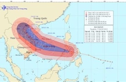 Đề nghị các nước hỗ trợ tàu thuyền và ngư dân Việt Nam tránh trú bão   