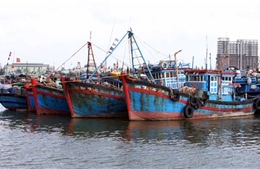 Huy động cả hệ thống chính trị phòng, chống siêu bão Haiyan 