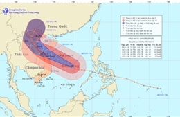 Bão số 14 đang có hướng di chuyển phức tạp 