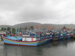 Bình Định: Còn 3 tàu cá đang di chuyển tránh bão