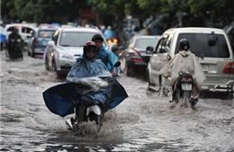 Hà Nội khẩn trương phòng chống bão